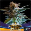 BSF - GORILLA GLUE AUTO - 12 SEMI