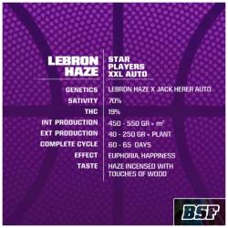 BSF - LEBRON HAZE AUTO - 7 SEEDS