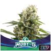 BSF - MOBY-D XXL AUTO - 4 SEMI