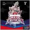 BSF - RED CRITICAL AUTO - 4 SEMI