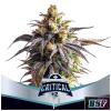 BSF - CRITICAL +2 XXL AUTO - 12 SEMI