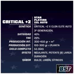 BSF - CRITICAL +2 XXL AUTO - 4 SEMI