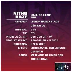 BSF - NITRO HAZE FEM - 2 SEEDS