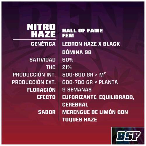 BSF - NITRO HAZE FEM - 2 SEEDS