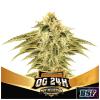 BSF - OG 24K FEM - LIMITED EDITION - 10 SEMI