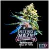 BSF - NITRO HAZE FEM - 2 SEMI