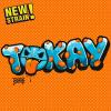 GECKO SEEDS - TOKAY FEM - 3 SEMI