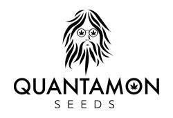 Quantamon Seeds