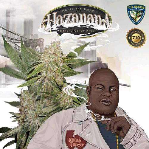 TH SEEDS - HAZANANA  FEM - 2 SEEDS