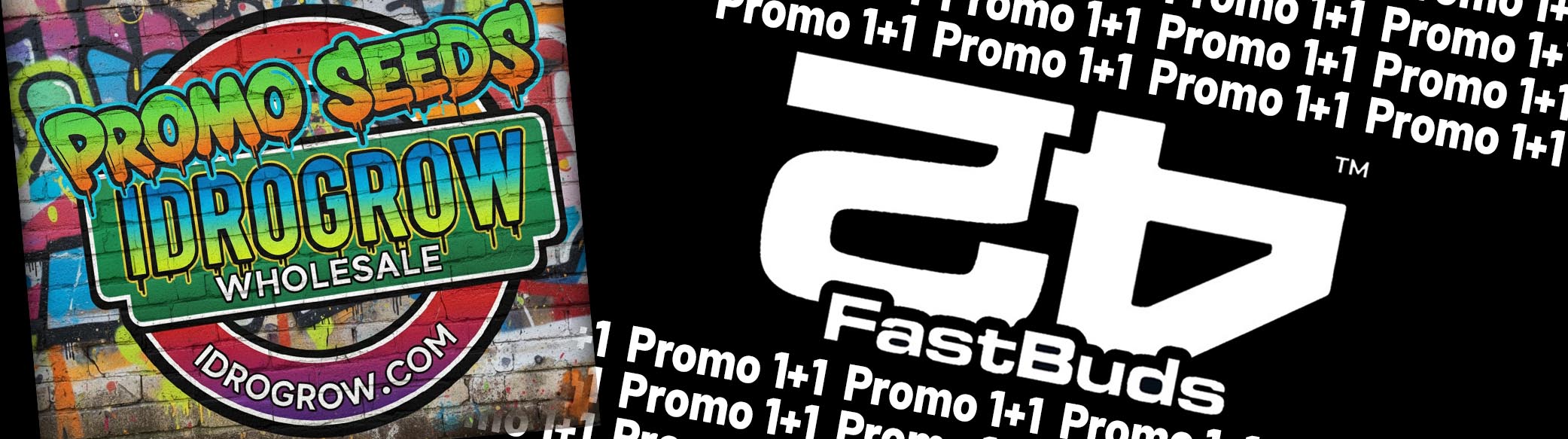 promo_fast_bud1+1_desk