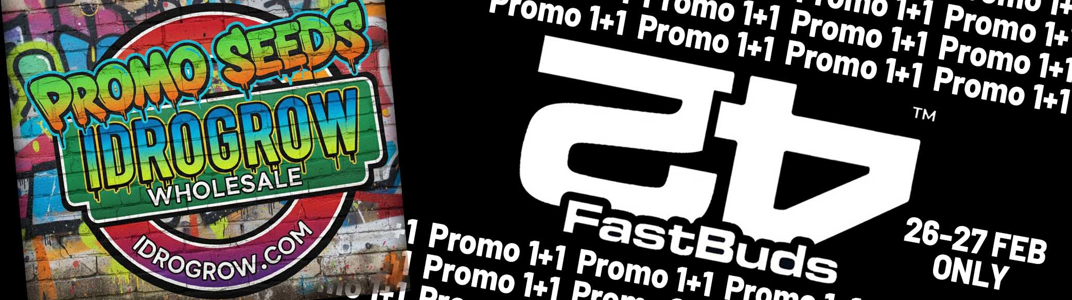 Promo_Flash_Fast_Bud