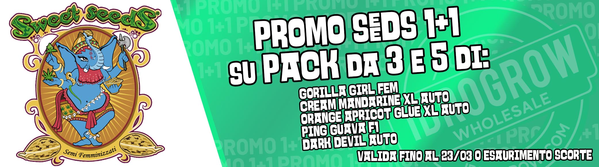 Promo Sweet Seeds1+1it