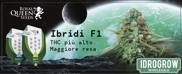 Royal Queen Seeds Ibridi F1