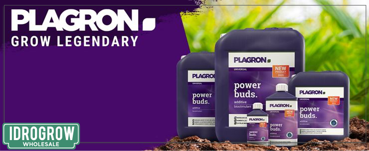 Plagron