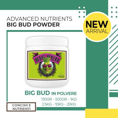 BIG BUD POWDER
