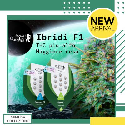 F1 Hybrid