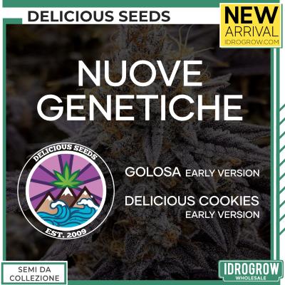 Delicious Seeds Early version