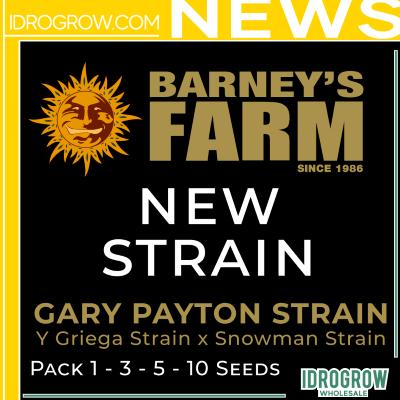 New Strain Gary Payton
