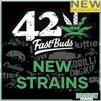 Fast Buds new strains 24