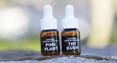 Terpeni Cannabis