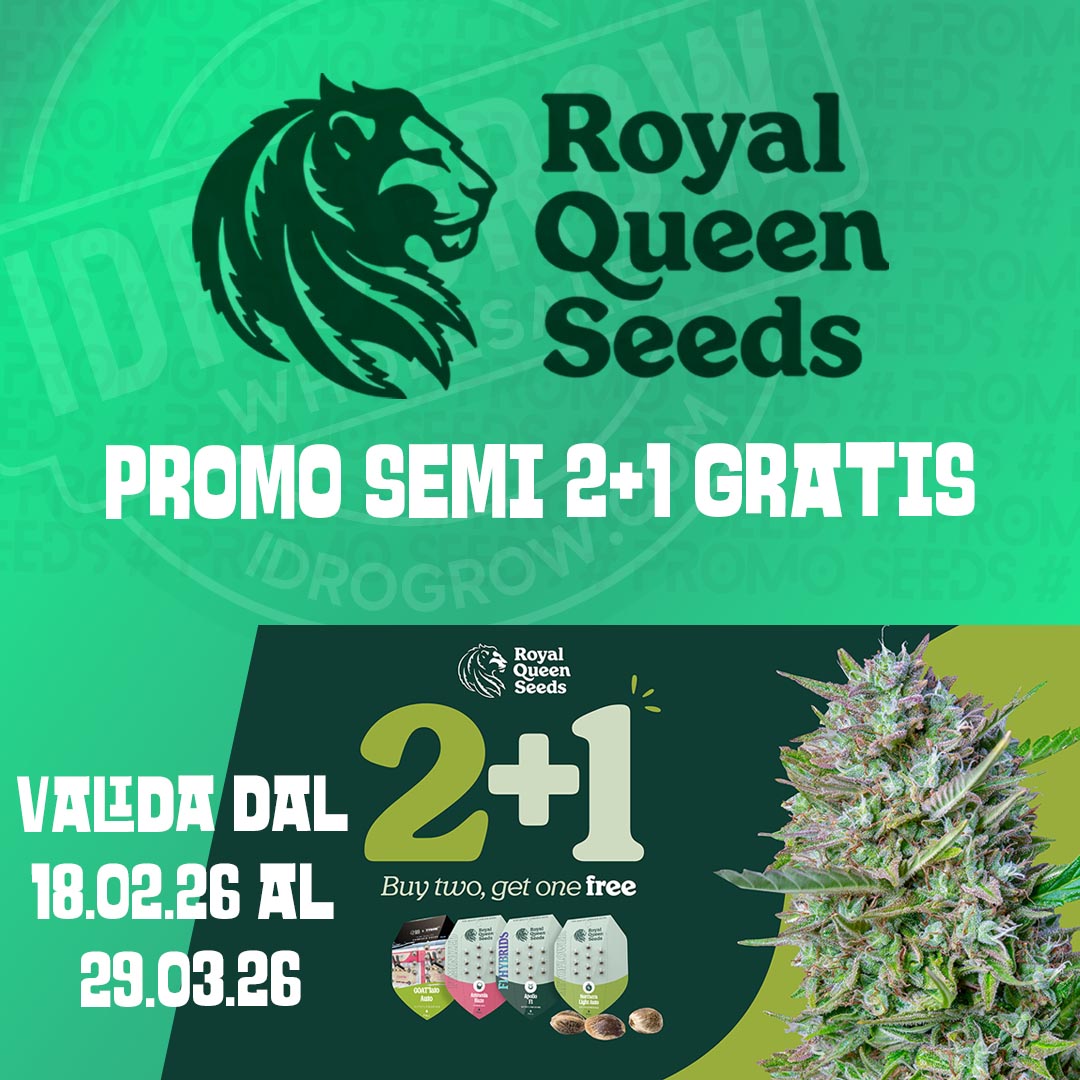 RQS_promo_it