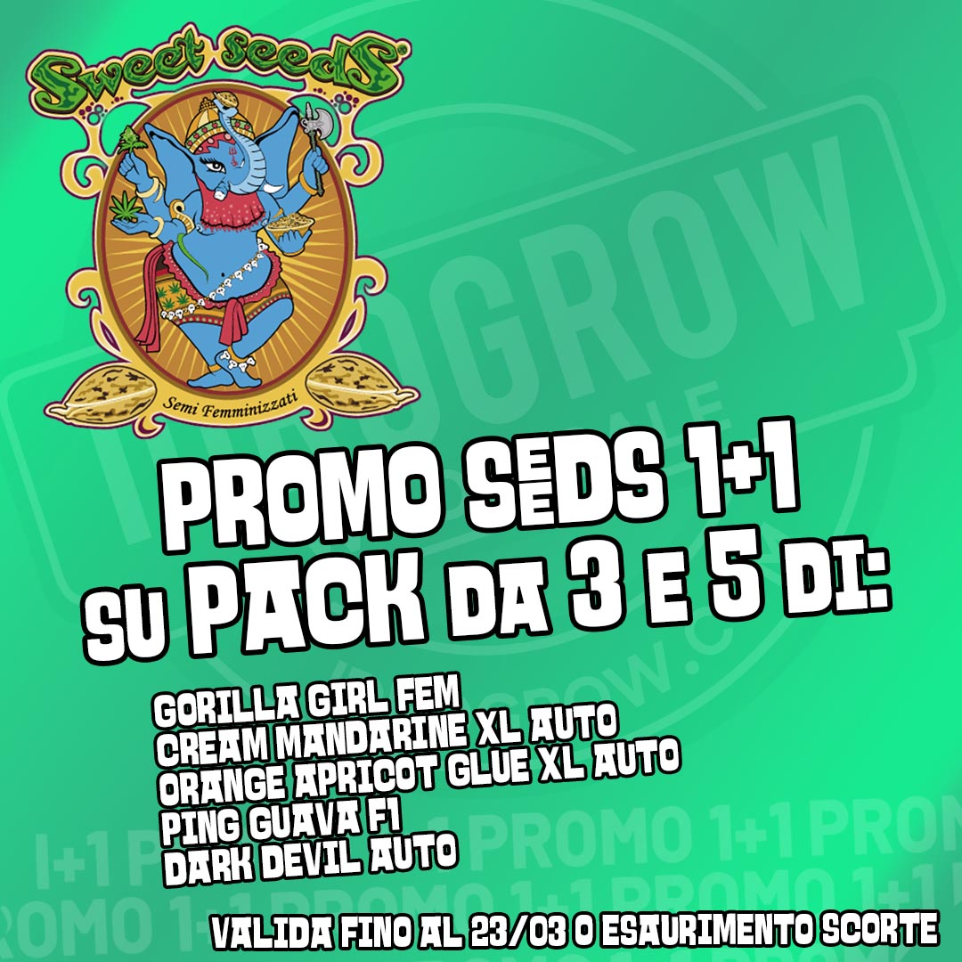 promo sweets seeds 1+1it