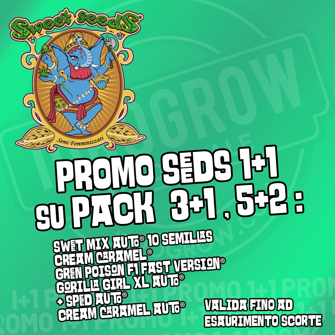 promo sweets seeds 1+1it