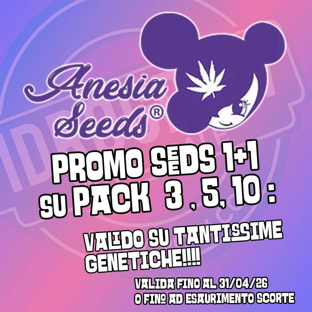 ANESIA PROMO