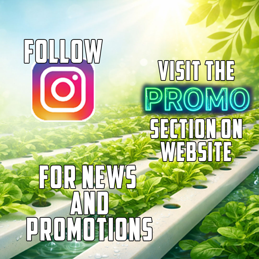 FOLLOW