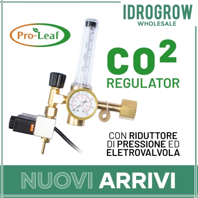 pro-leaf co2 regulator