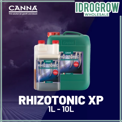 RHIZOTHONIC