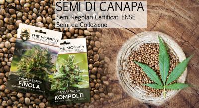 Semi canapa Certificati e collezione