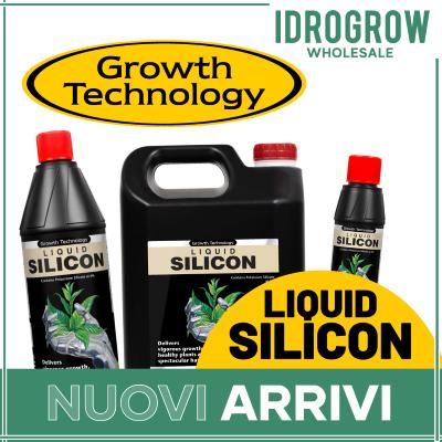Liquid Silicon