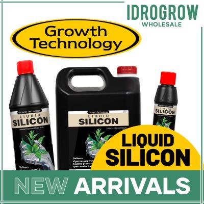 Liquid Silicon