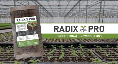 RADIX PRO
