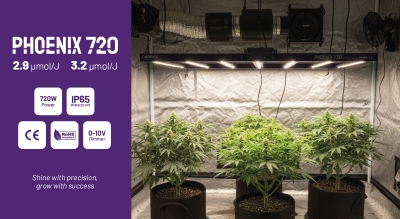 phoenix 720