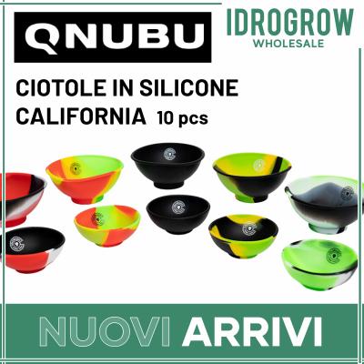 CIOTOLE IN SILICINE CALIFORNIA