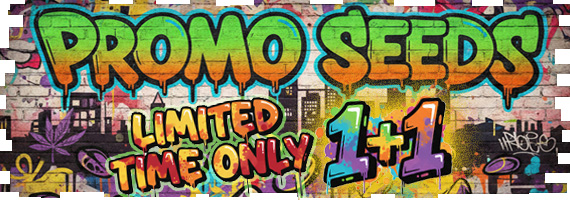 Promo SEEDS 1+1