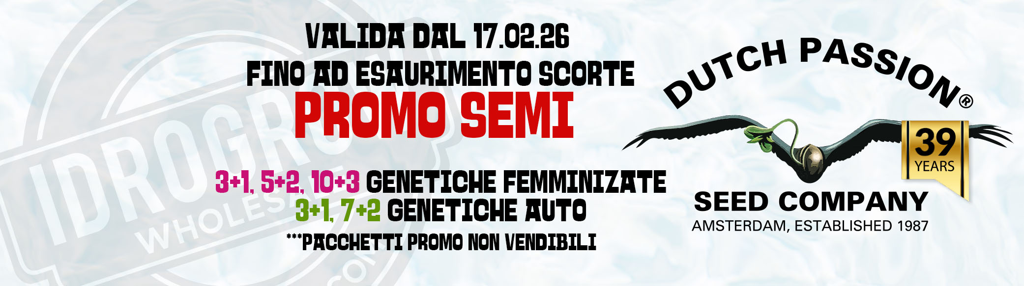 Dutch Passion Promo it