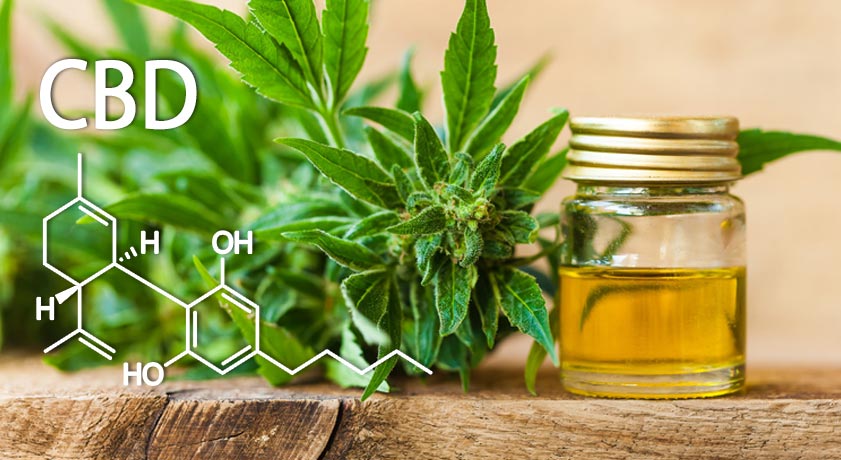 Cannabidiolo per neonati: ischemia e CBD • Cannabiscienza