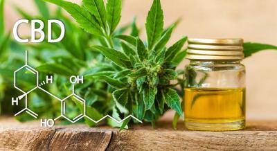 cbd effetti