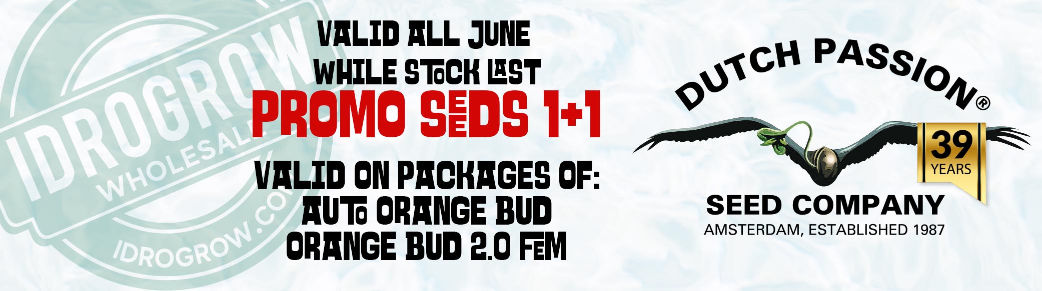 DUTCH PROMO