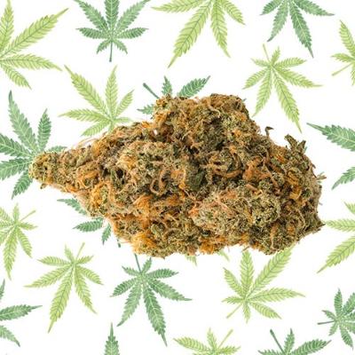 Northern Lights #5 cannabis
