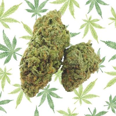 NEVILLE'S HAZE cannabis light
