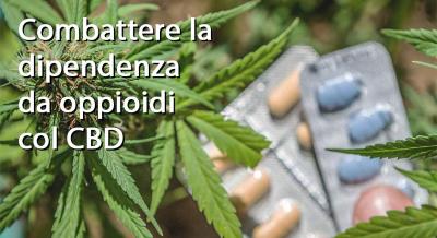 Come combattere la dipendenza da oppioidi con il CBD